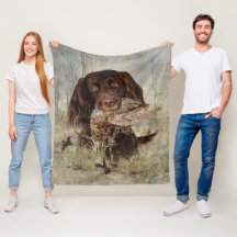 Ponteiro Longhaired Alemão