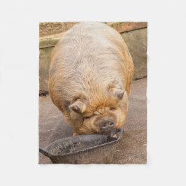 Cobertor De Velo Porco gordo