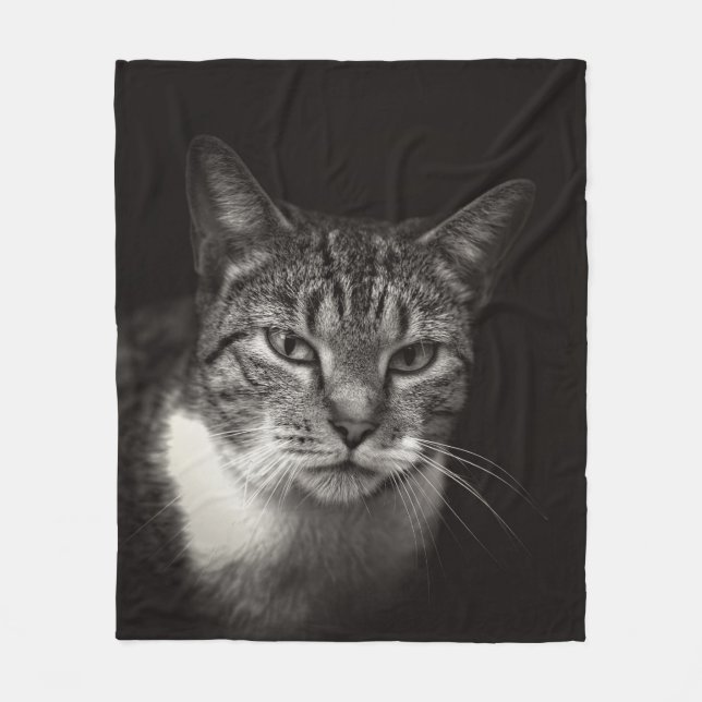 COBERTOR DE VELO PRATA TABBY CAT (Frente)