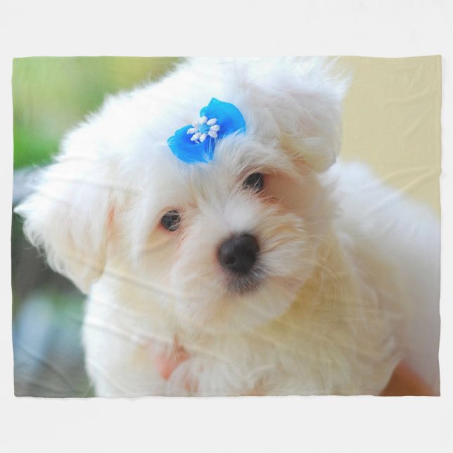 Cobertor De Velo Puppy (Frente (Horizontal))