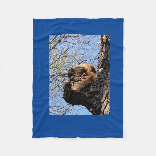 Cobertor De Velo Quirrel Fleece Blanket (Frente)