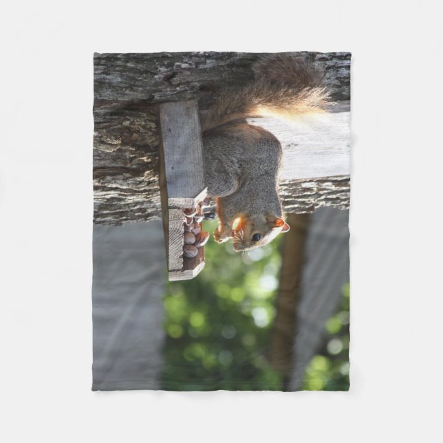 Cobertor De Velo Quirrel Fleece Blanket (Frente)