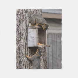 Cobertor De Velo Quirrel Fleece Blanket