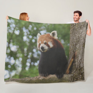 COBERTOR DE VELO RED PANDA