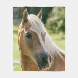 Cobertor De Velo Retrato bonito do cavalo do haflinger