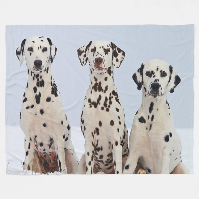 Cobertor De Velo Retrato da família Dalmaciana (Frente (Horizontal))