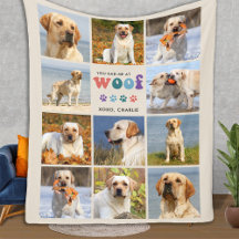 Retro, Você Me Teve Um Cão Personalizado De Colage