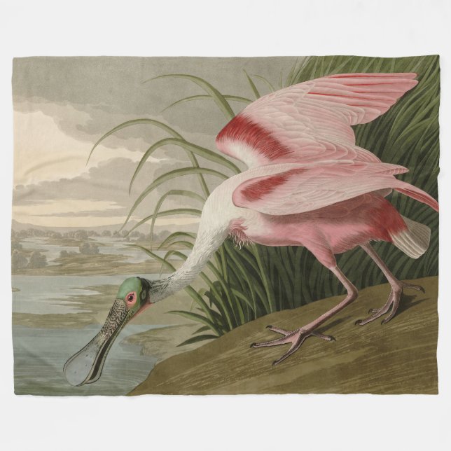 Cobertor De Velo Roseate Spoonbill, das Aves da América de Audubon (Frente (Horizontal))