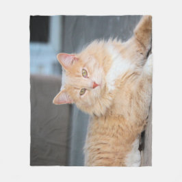 Cobertor De Velo Ruffles