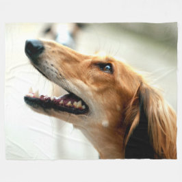 COBERTOR DE VELO SALUKI