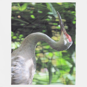 Cobertor De Velo Sandhill Crane