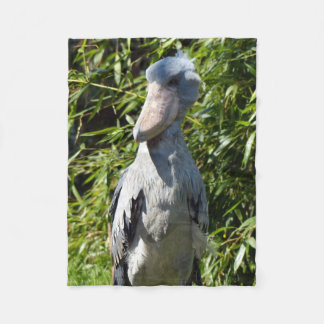 Cobertor De Velo Sapato (Balaeniceps rex)