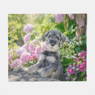 Cobertor De Velo Schnauzer Puppy Padrão em um Jardim Flor