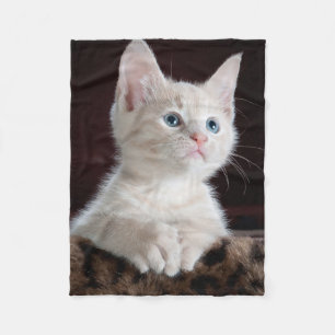 Cobertor De Velo Seu costume da foto