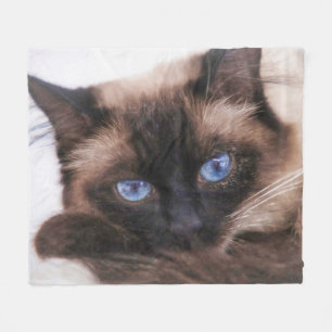 Cobertor De Velo Siamese Kitten Docinho Face Fleece Blanket