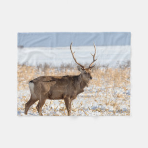 Cobertor De Velo Sika Stag em um campo de neve Japão