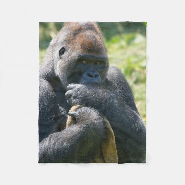 Cobertor De Velo Silverback Gorilla E Seu Banheira (Frente)