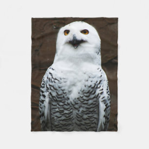 Cobertor De Velo Snowy Owl fbcn