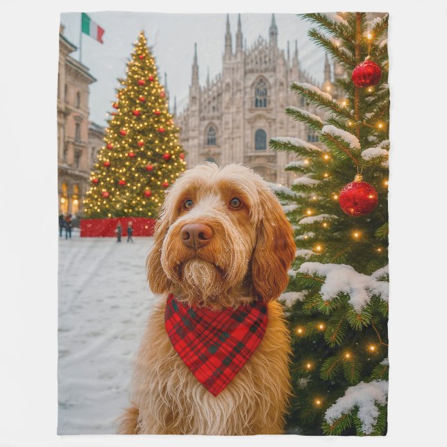 Cobertor De Velo Spinone Italiano  (Frente)