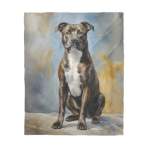 Staffy dog Portrait