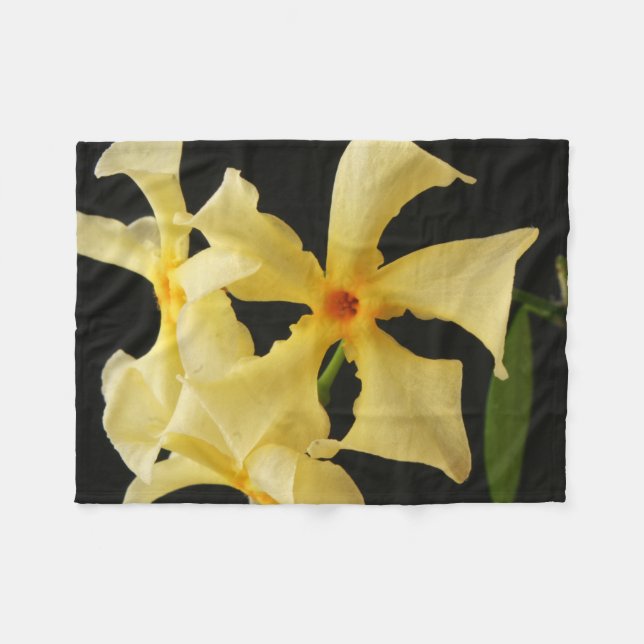 Cobertor De Velo Star Jasmine Flower fbcna (Frente (Horizontal))