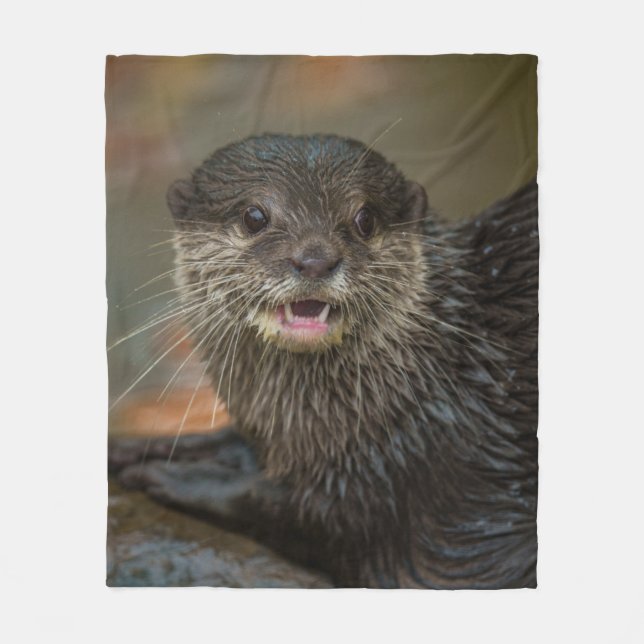 Cobertor De Velo Surpreendido Totalmente (Frente)