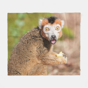 Cobertor De Velo Surpresa de Lemur Crowned: uma expressão sincera