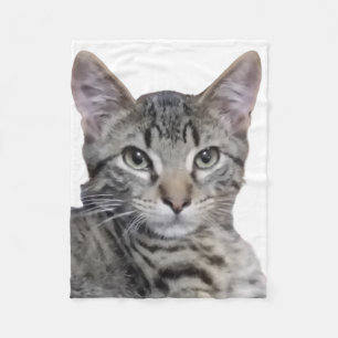 Cobertor De Velo Tabby Kitten
