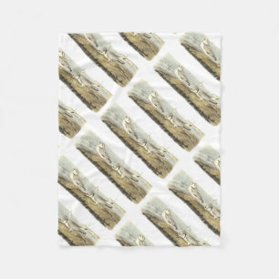 Cobertor De Velo Tarambola tranqüila por Audubon