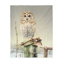 Tawny Owl no Snow bird fine art watercolor