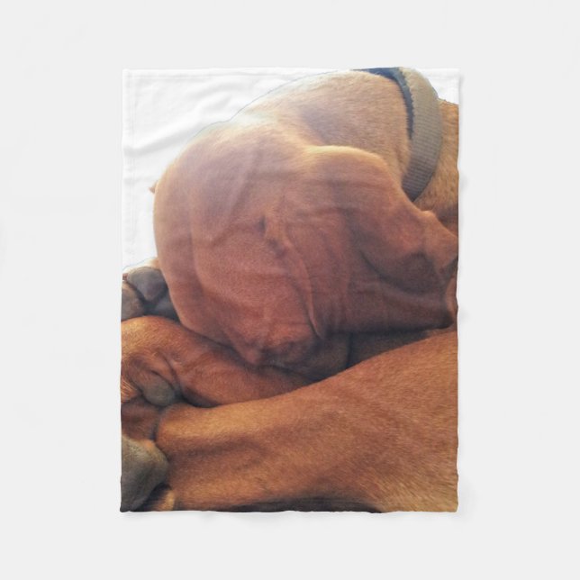 Cobertor De Velo Tempo de sono (Frente)