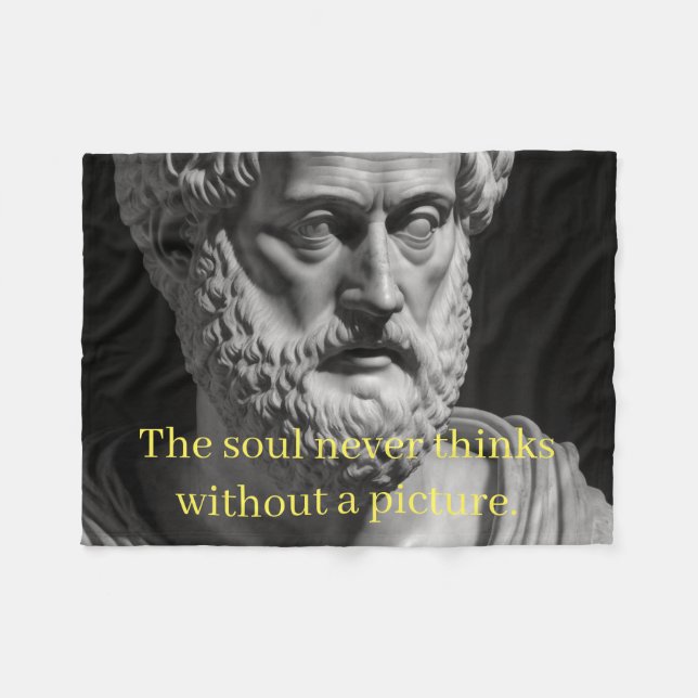 Cobertor De Velo The Soul never thinks without a Picture (Frente (Horizontal))