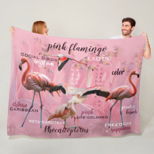 Cobertor De Velo Tipografia cor-de-rosa   do flamingo personalizado