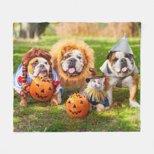 Cobertor De Velo Três Bulldogs Vestidos