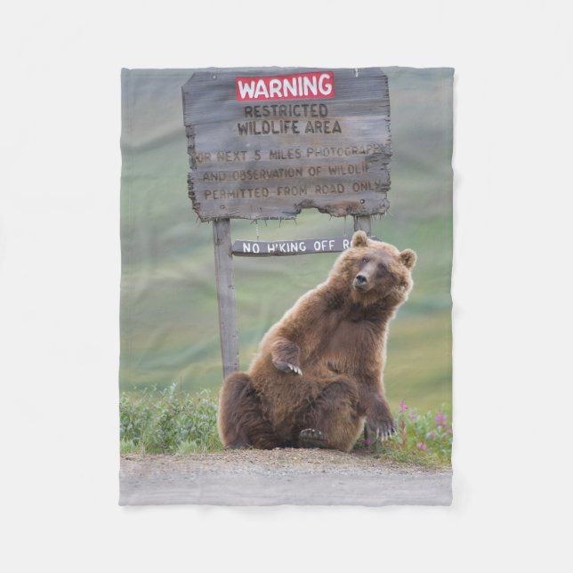 Cobertor De Velo Urso Cinzento Brinca Com Placa (Frente)