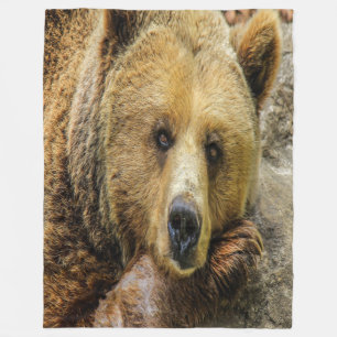 Cobertor De Velo Urso de Brown selvagem