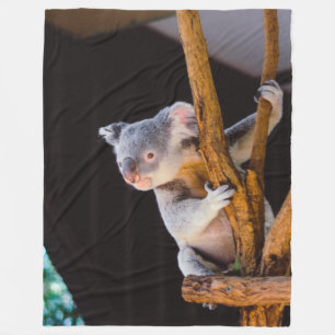 COBERTOR DE VELO URSO DE KOWALA