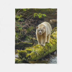 Cobertor De Velo Urso Espírito Branco Colúmbia Britânica, Canadá
