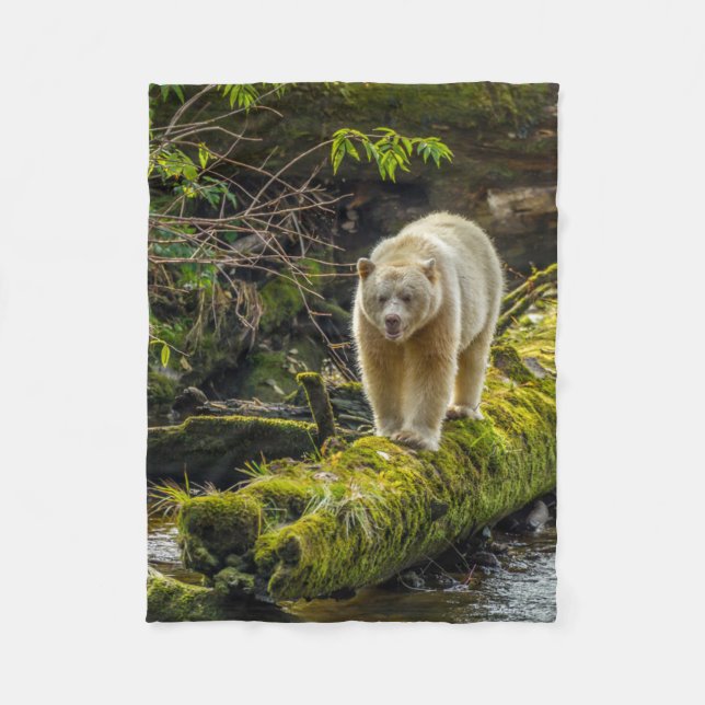 Cobertor De Velo Urso Espírito Branco | Colúmbia Britânica, Canadá (Frente)