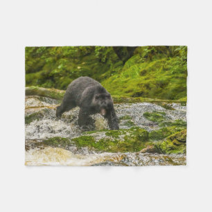 Cobertor De Velo Urso Negro Pescando Qua Creek Colúmbia Britânica