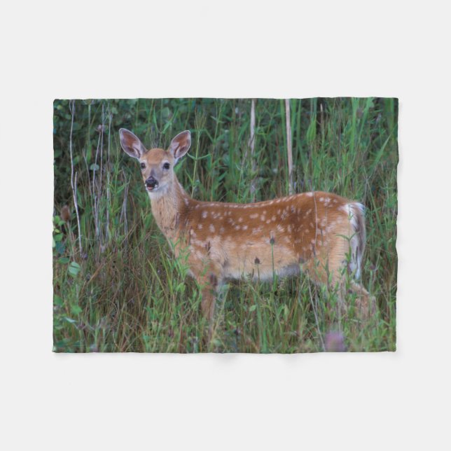Cobertor De Velo Veado-de-cauda-branca | Reserva Nacional de Búfalo (Frente (Horizontal))