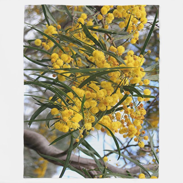 Cobertor De Velo Verde e flores australianas do wattle do ouro (Frente)