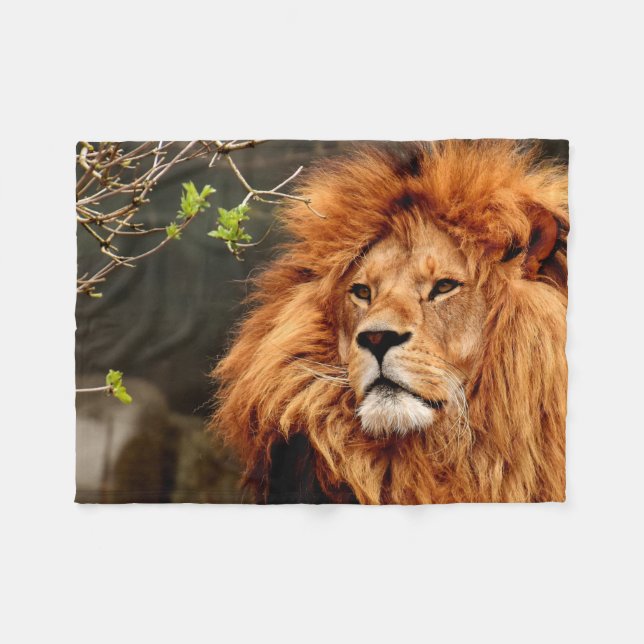 Cobertor De Velo Vibrant colourful Close-up Lion picture (Frente (Horizontal))