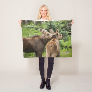 Cobertor De Velo Vitelos De Moose Vinculados