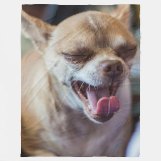 Cobertor De Velo Yawning Chihuahua (Frente)