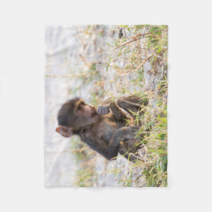Cobertor De Velo Young Baboon