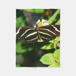 Cobertor De Velo Zebra Longwing Butterfly