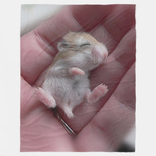 Cobertor De Velo Zzzzzzzzzzzzz