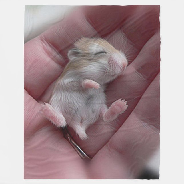 Cobertor De Velo Zzzzzzzzzzzzz (Frente)