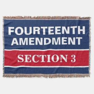 Cobertor Décima Quarta Alteração Seção 3 Constituição